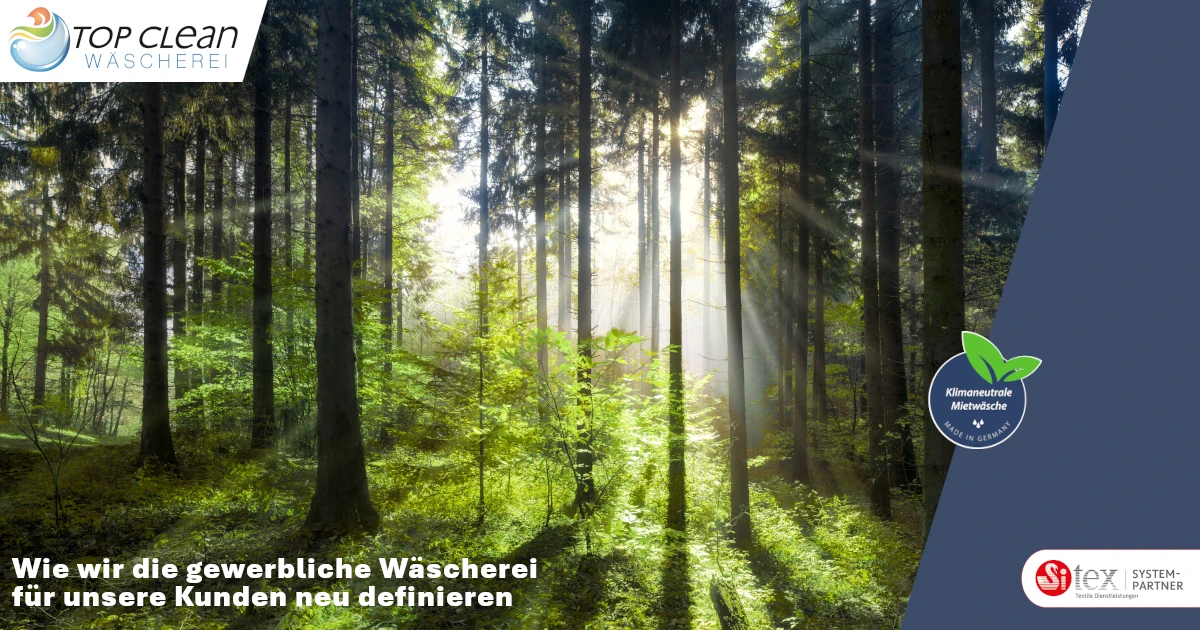 Vision 100 % CO2-neutral: Wie wir die gewerbliche Wäscherei für unsere Kunden neu definieren